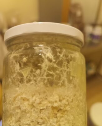 Mycelium Cultures